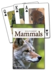Image for Mammals of the Southwest Playing Cards