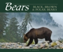 Image for Bears : Black, Brown &amp; Polar Bears