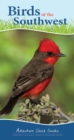 Image for Birds of the Southwest : Your Way to Easily Identify Backyard Birds