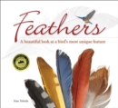 Image for Feathers : A Beautiful Look at a Bird&#39;s Most Unique Feature