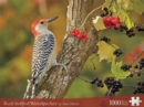 Image for Red-bellied Woodpecker