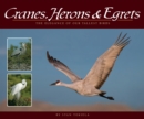 Image for Cranes, Herons &amp; Egrets: The Elegance of Our Tallest Birds.