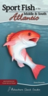 Image for Sport Fish of the Middle &amp; South Atlantic : Including Delaware, Georgia, Maryland, North Carolina, South Carolina, and Virginia