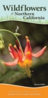 Image for Wildflowers of Northern California : Your Way to Easily Identify Wildflowers