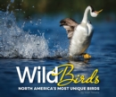 Image for Wild Birds : North America&#39;s Most Unique Birds