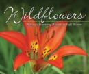 Image for Wildflowers : Nature&#39;s Stunning Beauty on Display