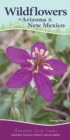 Image for Wildflowers of Arizona &amp; New Mexico : Your Way to Easily Identify Wildflowers