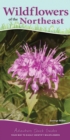 Image for Wildflowers of the Northeast