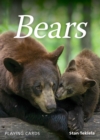 Image for Bears Playing Cards