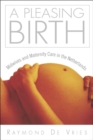 Image for A pleasing birth  : midwives and maternity care in the Netherlands