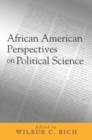 Image for African American perspectives on political science