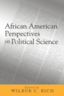 Image for African American perspectives on political science