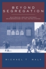 Image for Beyond Segregation: Multiracial And Multiethnic Neighborhoods