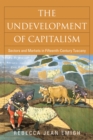 Image for The undevelopment of capitalism: sectors and markets in fifteenth-century Tuscany