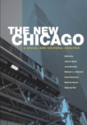 Image for The new Chicago: a social and cultural analysis