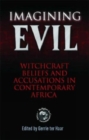Image for Imagining evil  : witchcraft beliefs and accusations in contemporary Africa