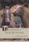 Image for Training Your Foal : Schooling and Training Your Horses
