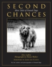 Image for Second Chances : More Tales Of Found Dogs