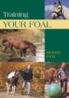 Image for Training Your Foal
