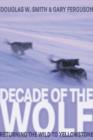 Image for Decade of the Wolf