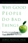 Image for Why Good People Do Bad Things : Understanding Our Darker Selves