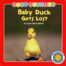 Image for Baby Duck Gets Lost