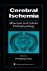 Image for Cerebral Ischemia: Molecular and Cellular Pathophysiology