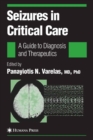 Image for Seizures in critical care: a guide to diagnosis and therapeutics