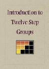 Image for Introduction to Twelve Step Groups