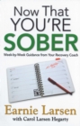 Image for Now that you&#39;re sober: week-by-week guidance from your recovery coach
