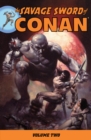 Image for Savage Sword Of Conan Volume 2