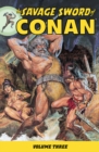 Image for Savage Sword Of Conan Volume 3