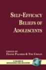 Image for Self-efficacy Beliefs of Adolescents