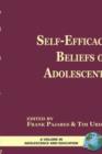 Image for Self-efficacy and Adolescents