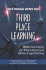 Image for Third Place Learning : Reflective Inquiry into Intercultural and Global Cage Painting