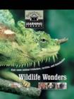 Image for Wildlife wonders: visit some animal tricksters, rarities, and homebodies.