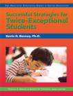 Image for Successful Strategies for Twice-Exceptional Students
