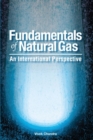 Image for Fundamentals of Natural Gas : An International Perspective