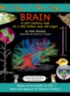 Image for Brain Volume 2