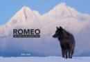 Image for Romeo  : the story of an Alaskan wolf