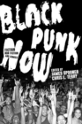 Image for Black punk now  : fiction, nonfiction, and comics