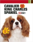 Image for Cavalier King Charles Spaniel