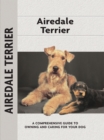 Image for Airedale terrier