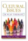 Image for Cultural issues in play therapy