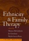 Image for Ethnicity and Family Therapy, Third Edition