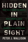 Image for Hidden in plain sight: what really caused the world&#39;s worst financial crisis and why it could happen again