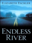 Image for Endless River