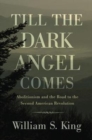 Image for Till the dark angel comes  : abolitionism and the road to the second American revolution