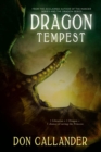 Image for Dragon Tempest