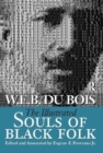 Image for Illustrated Souls of Black Folk